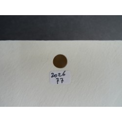 copy of 2026 - 81